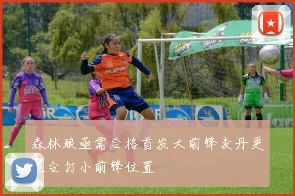 森林狼亟需合格首发大前锋麦丹更适合打小前锋位置